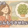 ポトスをこんもりさせたい人のための100均活用術と裏技とは？
