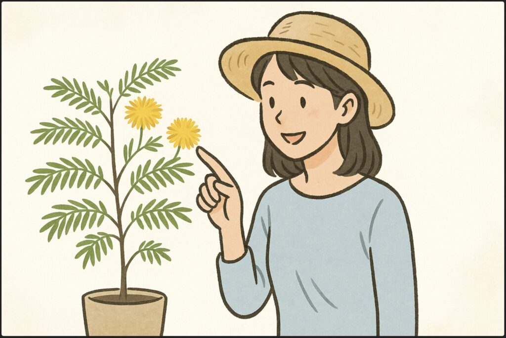 たんぽぽのような花を咲かせる条件