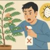 エバーフレッシュのカイガラムシ徹底駆除！白い綿の正体と予防法