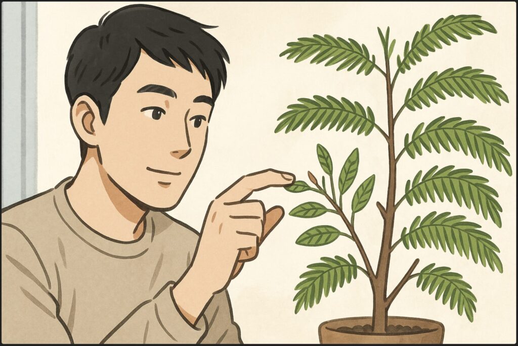 新芽は枝のどこから生えるのか