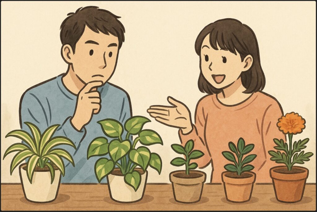 ポトスと相性の良い植物は？