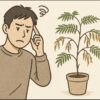 エバーフレッシュが枯れたときの復活法！原因と見分け方を解説！