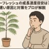エバーフレッシュの成長速度目安は？遅い原因と対策をプロが解説