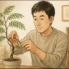 エバーフレッシュを曲げる方法！ひょろひょろ幹の育て方とは？