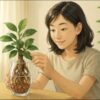 日本人女性が明るいリビングのテーブルで、透明なガラス容器に植えられたガジュマルのハイドロカルチャーを優しく手に取って観察している。背景に日差しの入る窓と観葉植物。