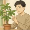 パキラの自生環境から学ぶ育て方！野生の姿と基本を解説します