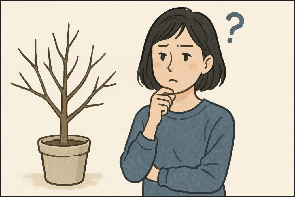 冬に丸坊主になっても諦めないで