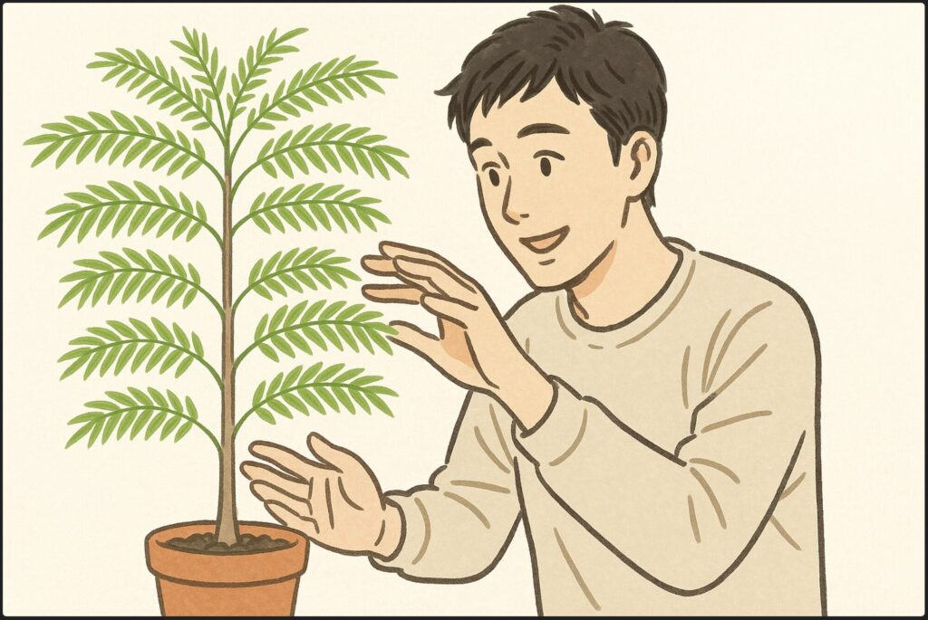 葉っぱは成長期になると増えるのですか？