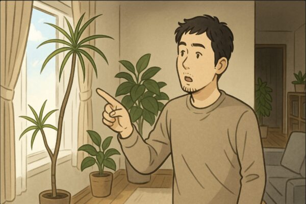 日本人男性がドラセナ・コンシンネを指差しながら、窓際と部屋の奥を見比べている。細長く徒長した幹と薄暗い場所の対比が分かる。午前の光がカーテン越しに差し込む室内。