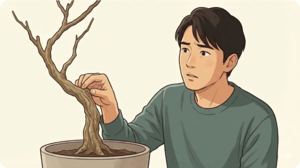 枝がシワシワになる原因と水切れのメカニズム