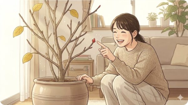 丸坊主から復活させる管理方法