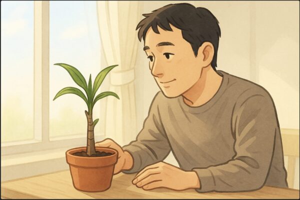 日本人男性が剪定後の短くなったドラセナの鉢を窓際に置き、芽吹いた小さな新芽を穏やかに見守っている。幹の切り口付近から若葉が出始めているのがわかる。背景は春の柔らかい光。