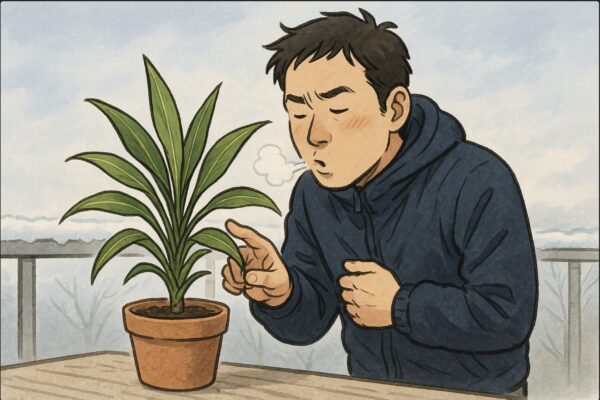 日本人男性がベランダでドラセナの鉢を前に、寒そうに息を吐きながら葉の状態を確かめている。背景には薄く霜の降りたベランダの手すりと冬の空。植物の葉先を指で触れて確認。