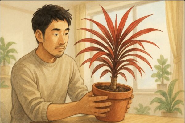 冬の室内で、日本人男性が赤いドラセナの鉢を両手で丁寧に持ち上げ、全体の状態を確認するように見つめている。背景には窓からやわらかな自然光が差し込み、部屋に観葉植物が少し置かれている。動作として「全体チェック」を明確に表現。